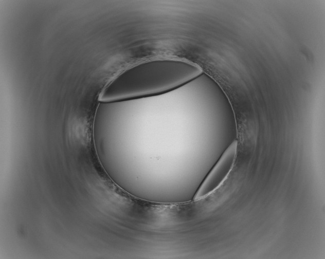 X0000112890136200908211502