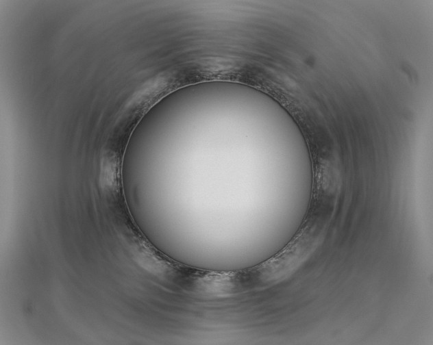 X0000112890138200908211502
