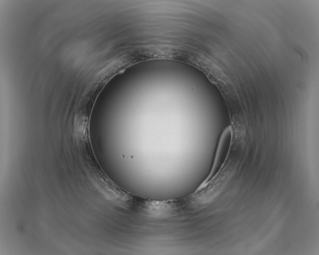 X0000112890141200908211502