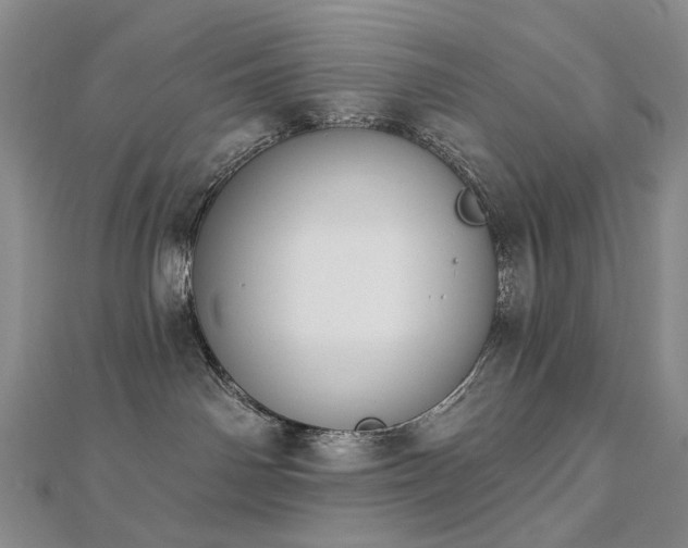 X0000112890142200908211502