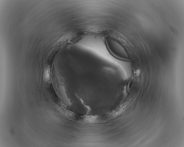 X0000112890143200908211502