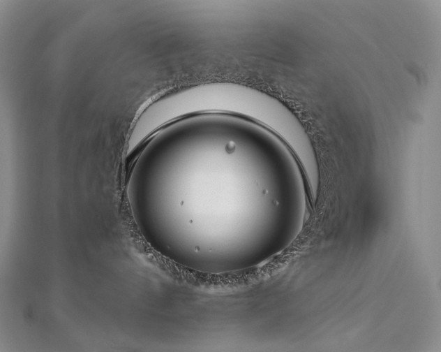 X0000112890144200908211502