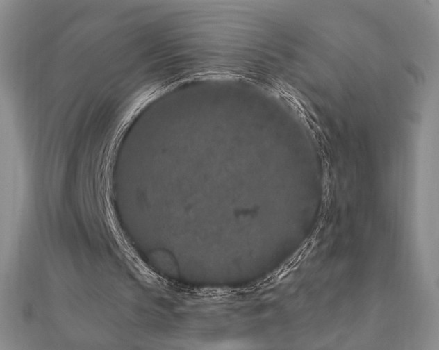 X0000112890145200908211501