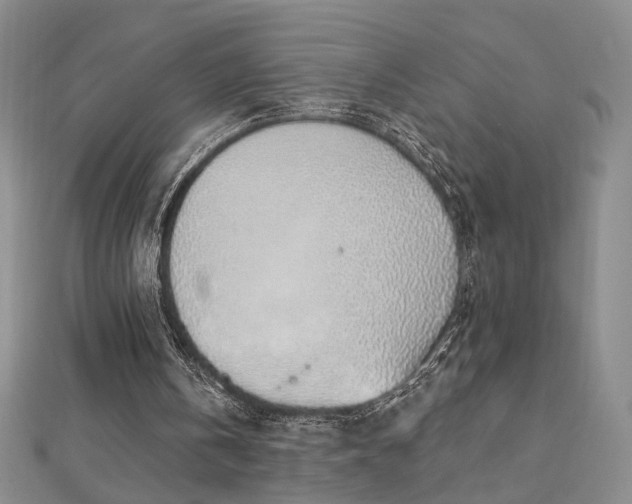 X0000112890146200908211501