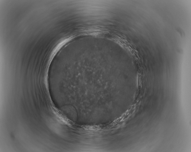 X0000112890147200908211501