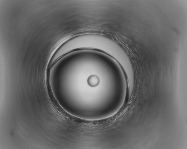 X0000112890148200908211501