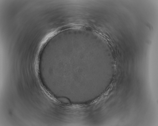 X0000112890149200908211501