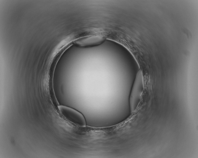 X0000112890150200908211501