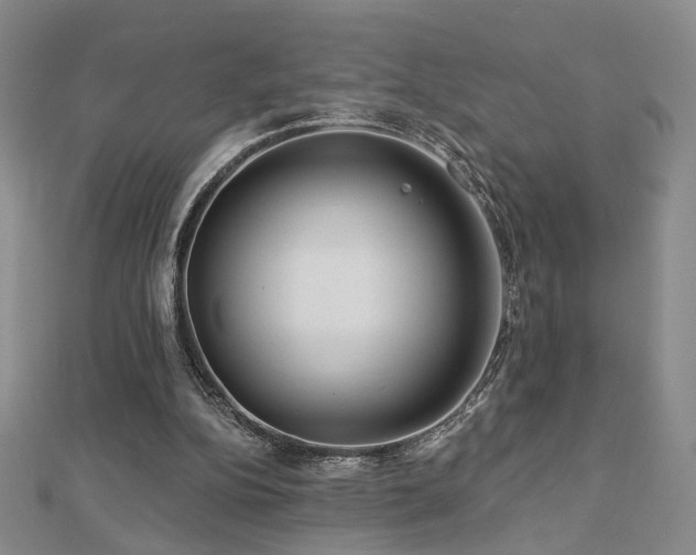 X0000112890152200908211501