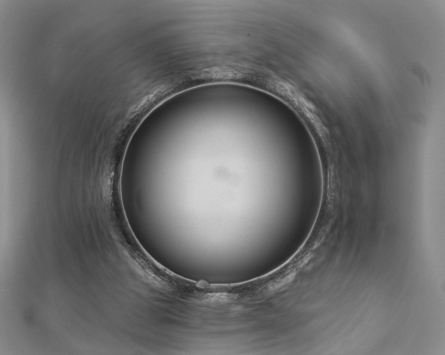 X0000112890153200908211501