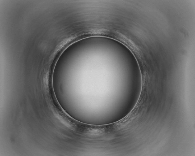 X0000112890155200908211501