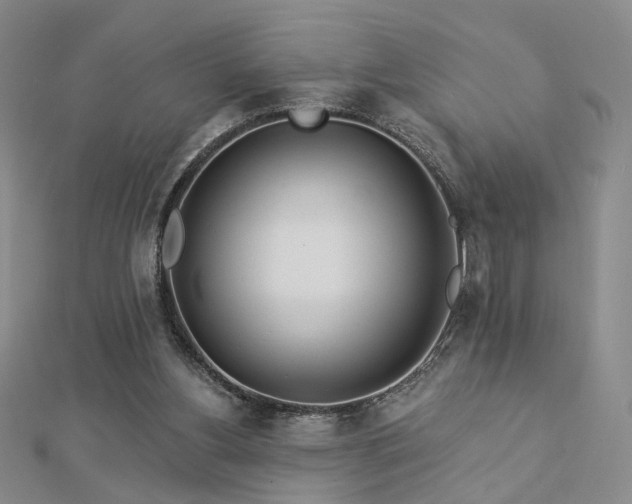 X0000112890156200908211501
