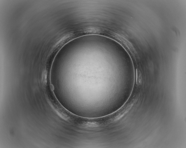 X0000112890157200908211501