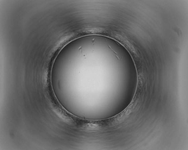 X0000112890159200908211501
