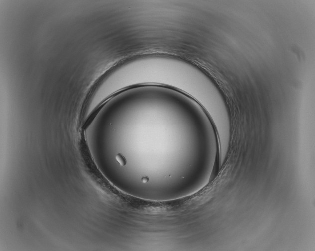 X0000112890160200908211501