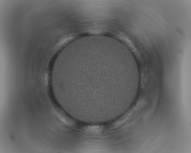 X0000112890161200908211501