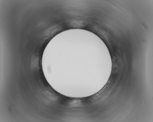 X0000112890162200908211501