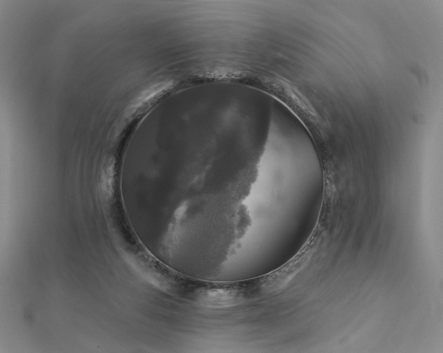 X0000112890163200908211501