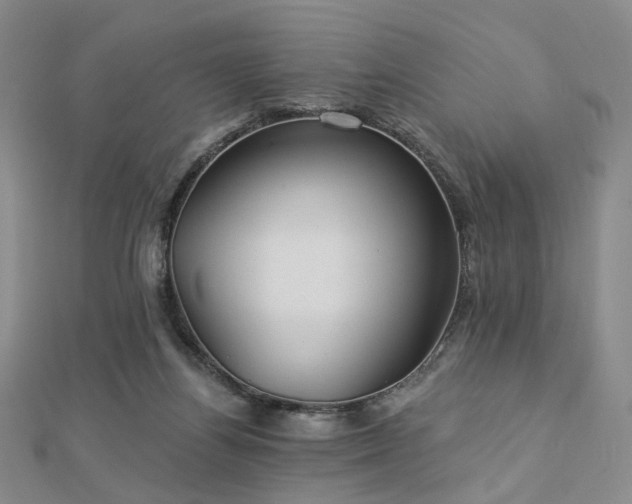 X0000112890164200908211501