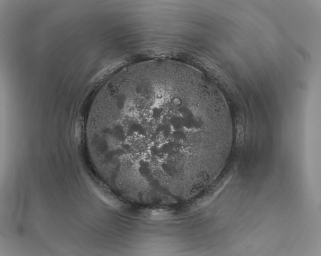 X0000112890165200908211501