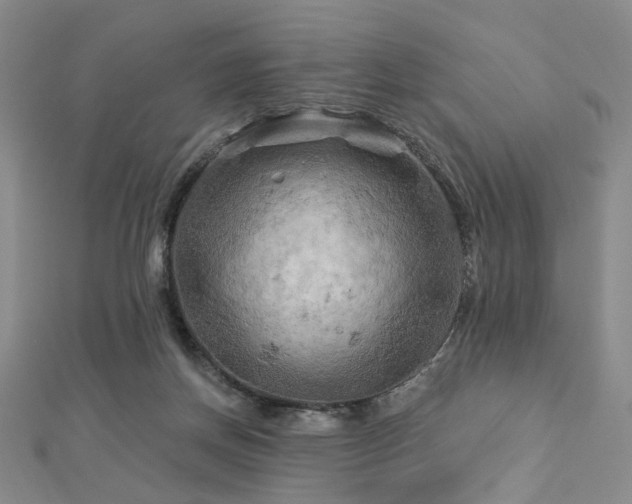 X0000112890166200908211501