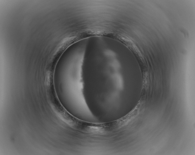 X0000112890167200908211501