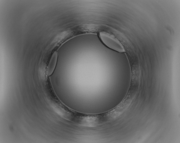 X0000112890168200908211501