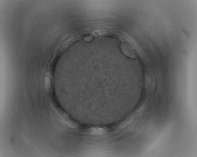 X0000112890169200908211501