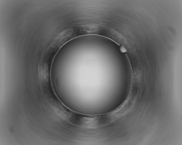 X0000112890170200908211501