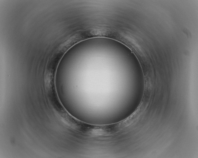 X0000112890171200908211501