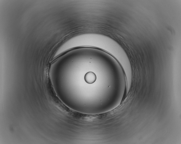 X0000112890172200908211501
