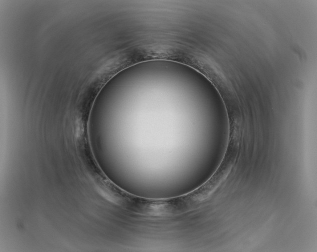 X0000112890173200908211502