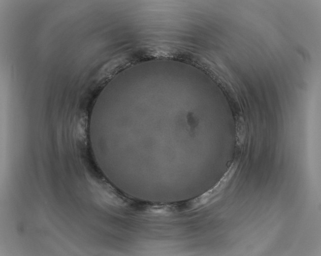 X0000112890175200908211502