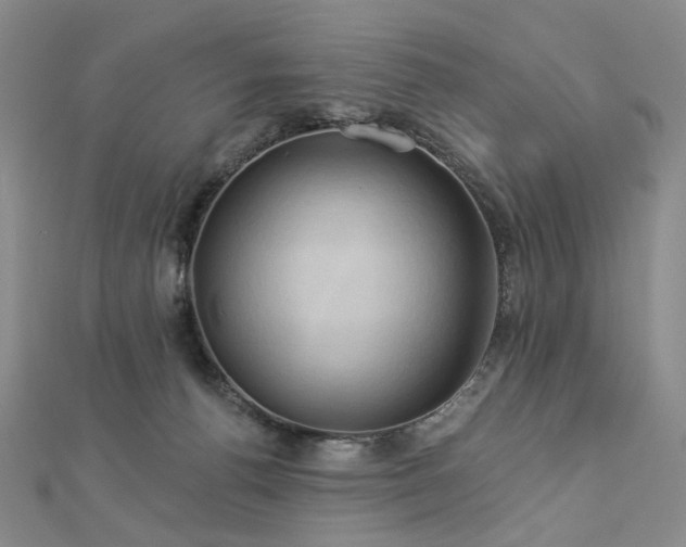 X0000112890176200908211502