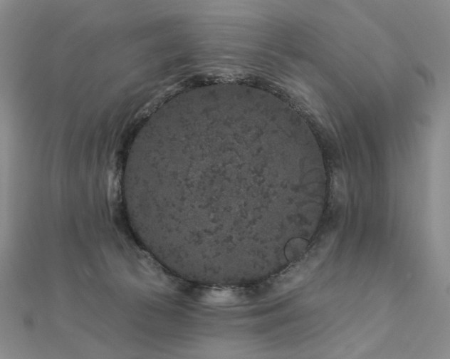 X0000112890177200908211502