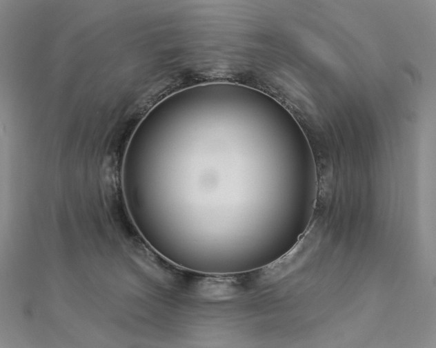 X0000112890179200908211502