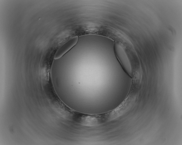 X0000112890180200908211502