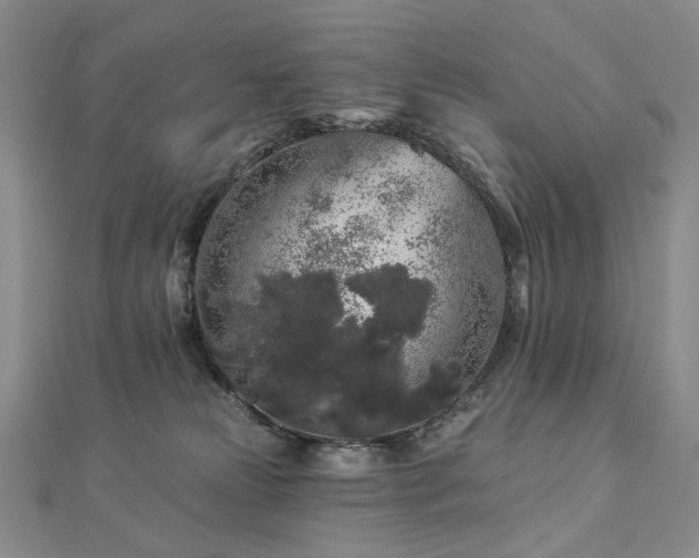 X0000112890181200908211502