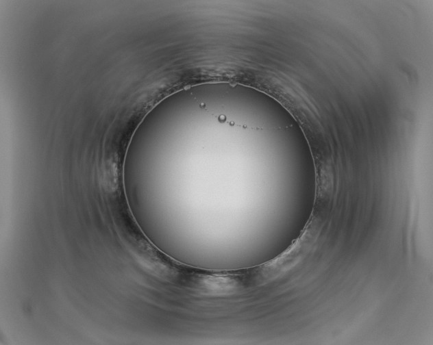 X0000112890183200908211502