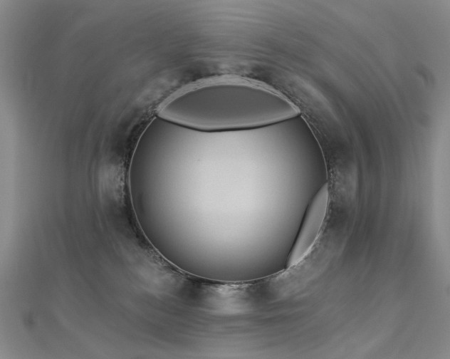 X0000112890184200908211502