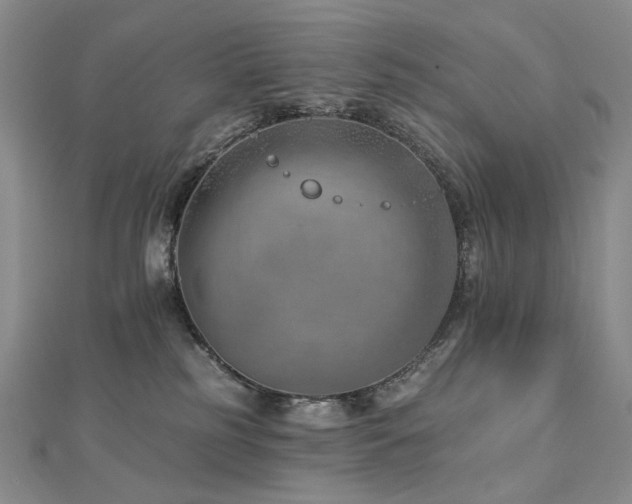 X0000112890185200908211502