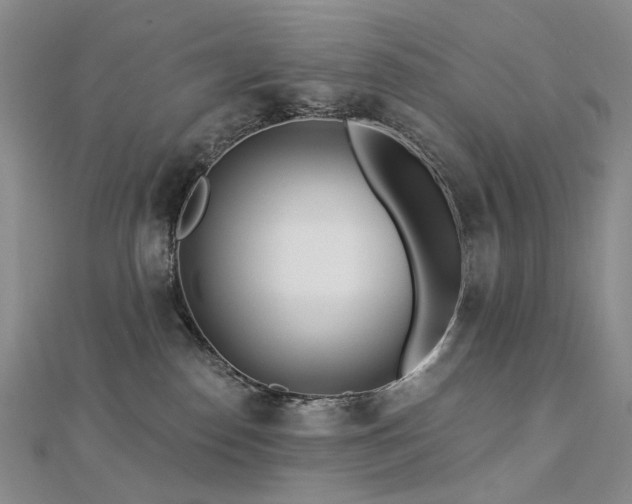 X0000112890186200908211502