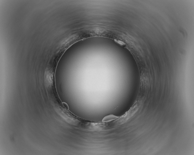 X0000112890188200908211502