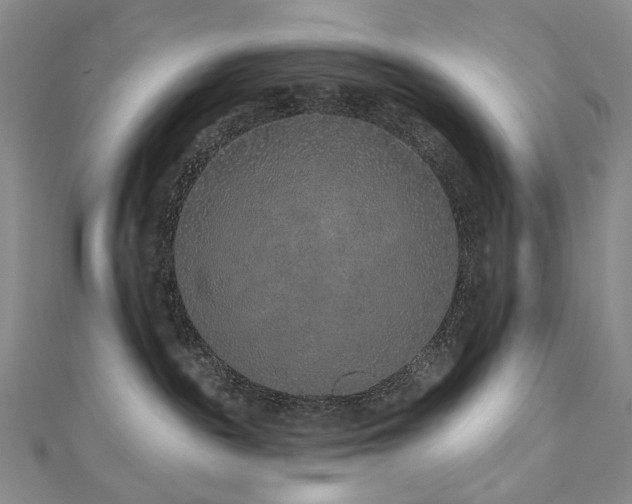 X0000112890189200908211502
