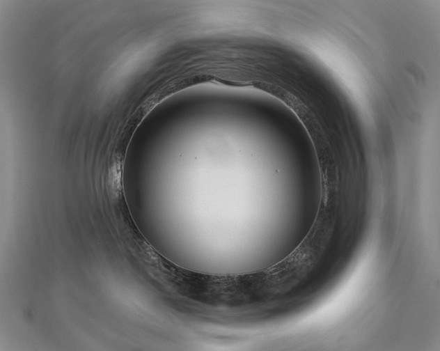 X0000112890190200908211502