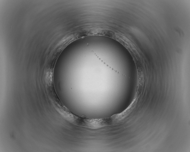 X0000112890191200908211502