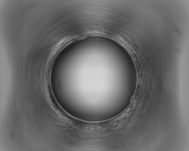 X0000112890193200908211501