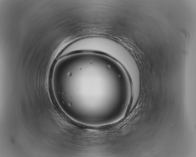 X0000112890195200908211501