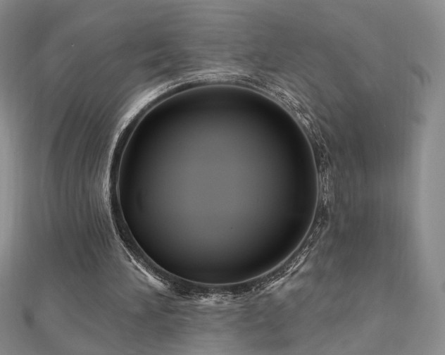 X0000112890196200908211501
