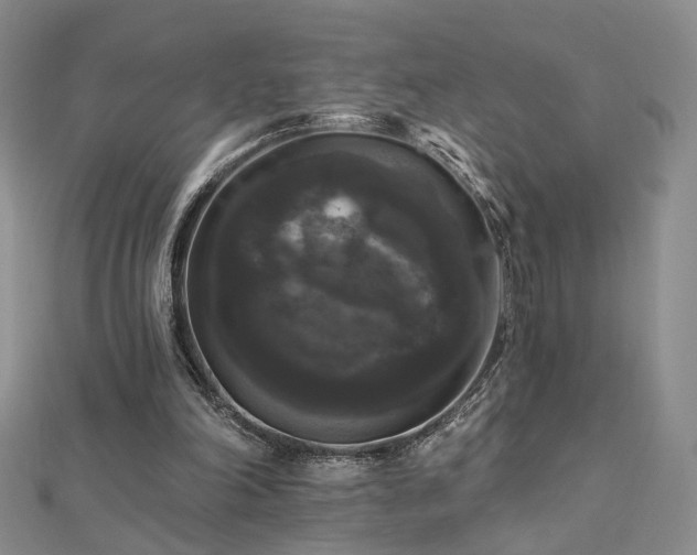 X0000112890198200908211501